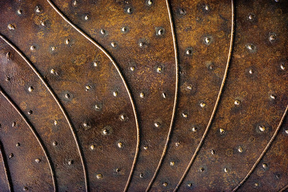 USA, Washington State, Ashford. Detail of metal at Sculpture Park. (PR) art print by Jaynes Gallery for $57.95 CAD