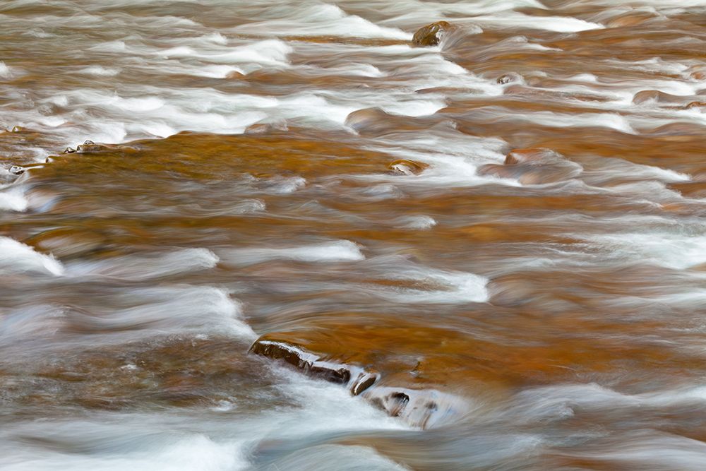 USA, Washington State, Olympic National Park. Rapids in Sol Duc River. art print by Jaynes Gallery for $57.95 CAD