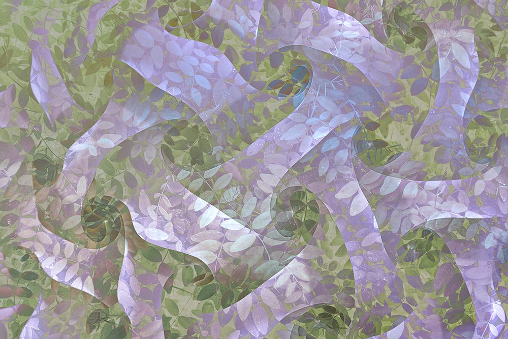 USA, Washington State, Seabeck. Abstract composite of leaves and ribbon shapes. art print by Jaynes Gallery for $57.95 CAD