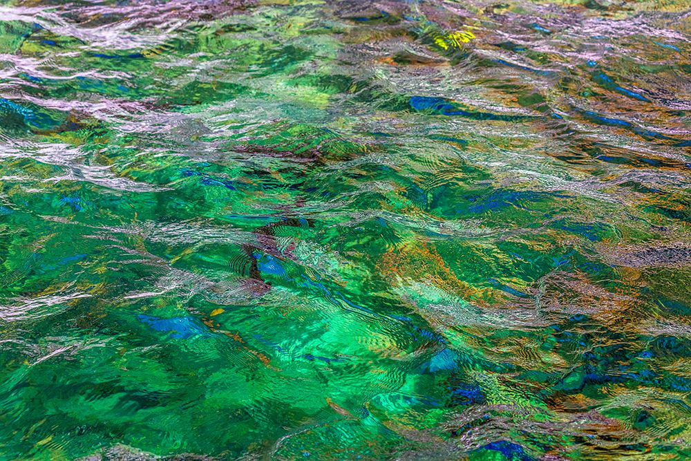 USA, Washington State, Olympic National Park. Abstract patterns in river water. art print by Jaynes Gallery for $57.95 CAD