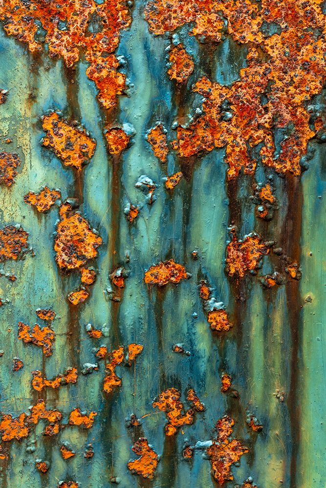 USA, Washington State, Port Townsend, Fort Worden State Park. Rusty metal on WWII gun battery. art print by Jaynes Gallery for $57.95 CAD