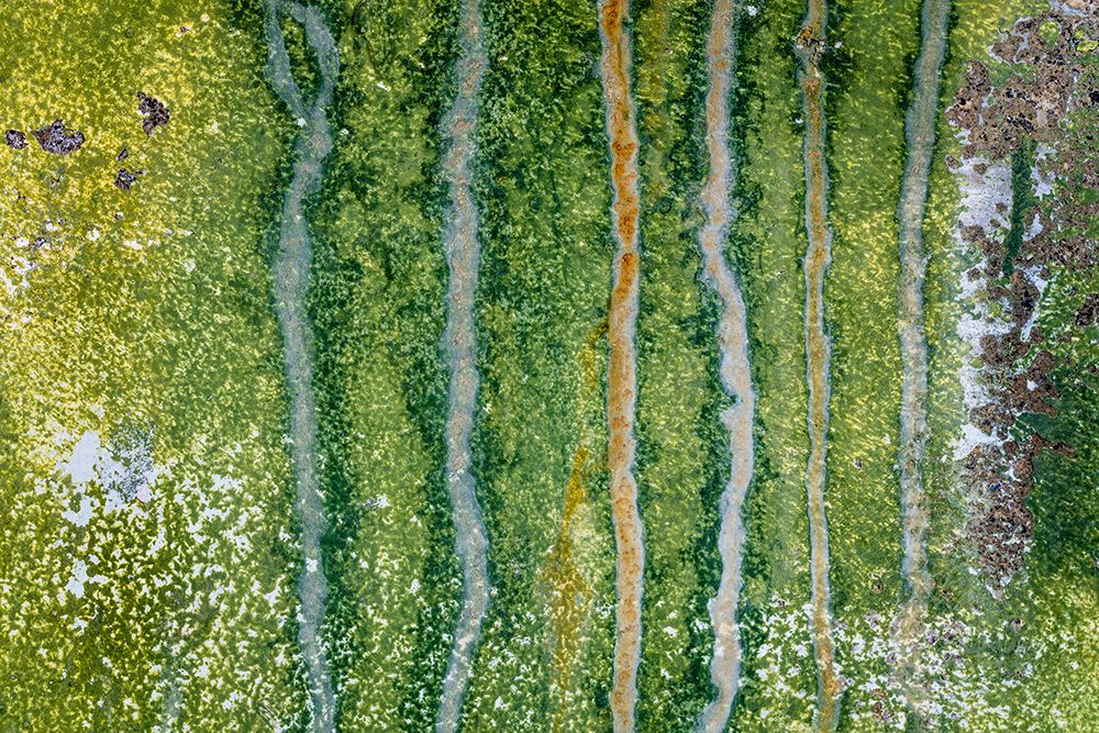 USA, Washington State, Port Townsend, Fort Worden SP. Weathered paint patterns on metal wall. art print by Jaynes Gallery for $57.95 CAD