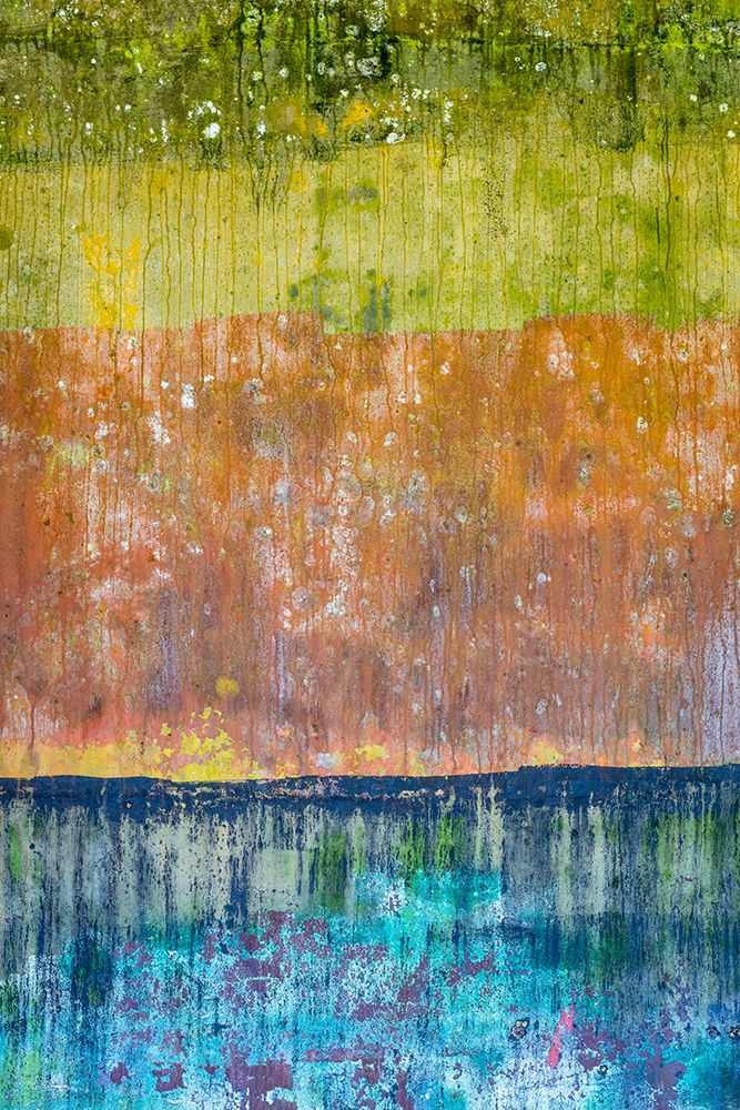 USA, Washington State, Salt Creek Recreation Area. Paint patterns on Camp Hayden battery metal. art print by Jaynes Gallery for $57.95 CAD