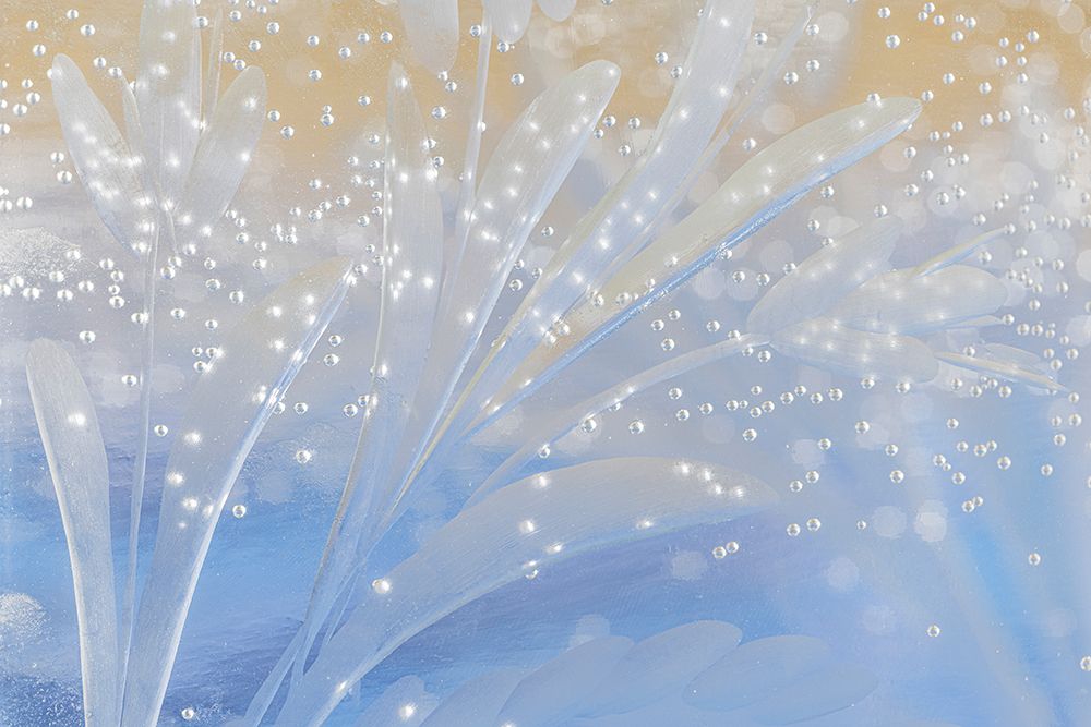 USA, Washington State, Seabeck. Etched glass detail. art print by Jaynes Gallery for $57.95 CAD