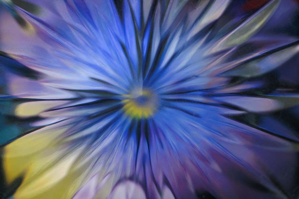 USA, Washington State, Seabeck. Abstract blur made to look like flower. art print by Jaynes Gallery for $57.95 CAD