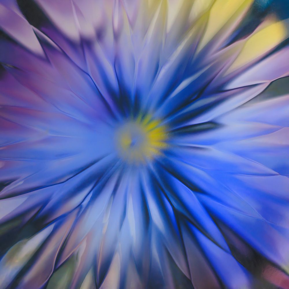 USA, Washington State, Seabeck. Abstract blur made to look like flower. art print by Jaynes Gallery for $57.95 CAD