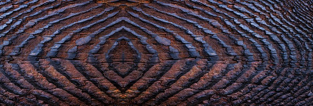 USA, Washington State, Seabeck. Panoramic of grain pattern on burnt driftwood. art print by Jaynes Gallery for $57.95 CAD