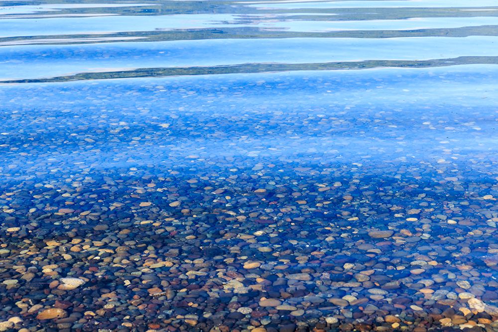 USA, Washington State, Seabeck. Shoreline of Hood Canal. art print by Jaynes Gallery for $57.95 CAD