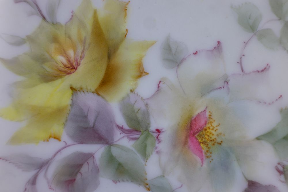 USA, Washington State, Seabeck. Abstract of roses and petals. art print by Jaynes Gallery for $57.95 CAD
