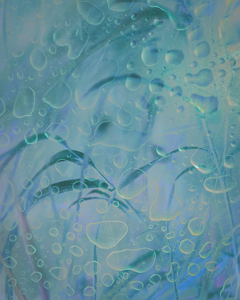 USA, Washington State, Seabeck. Composite of water drops and grass. art print by Jaynes Gallery for $57.95 CAD