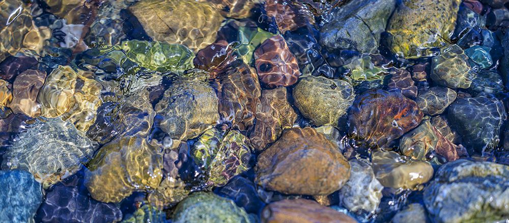 USA, Washington State, Seabeck, Hood Canal. Rocks and ripples in beach water. art print by Jaynes Gallery for $57.95 CAD