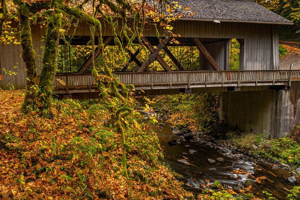 Covered bridge over Cedar Creek in Woodland, Washington State, USA art print by Chuck Haney for $57.95 CAD