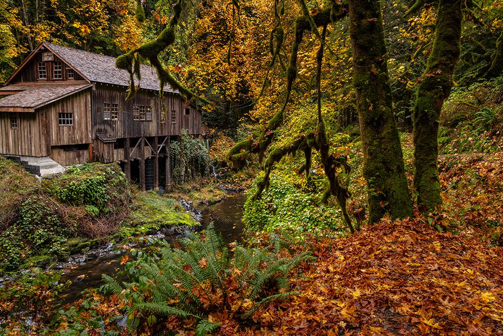 Historic grist mill over Cedar Creek in Woodland, Washington State, USA art print by Chuck Haney for $57.95 CAD