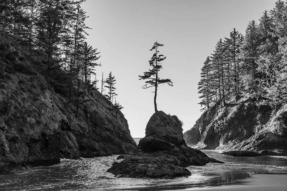 Deadmans Cove at Cape Disappointment State Park in Washington State, USA art print by Chuck Haney for $57.95 CAD