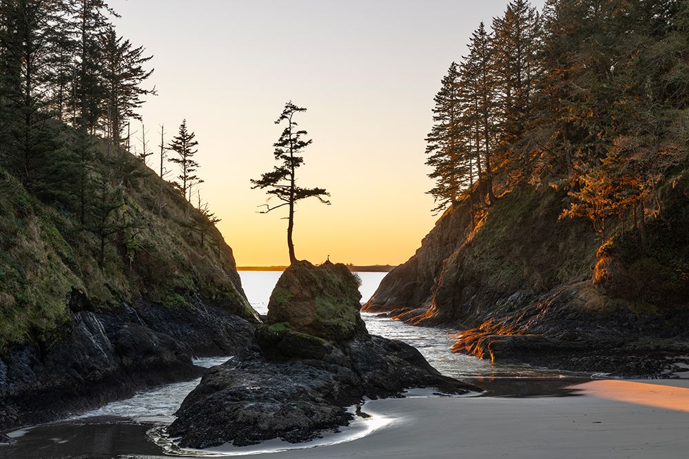 Deadmans Cove at Cape Disappointment State Park in Washington State, USA art print by Chuck Haney for $57.95 CAD