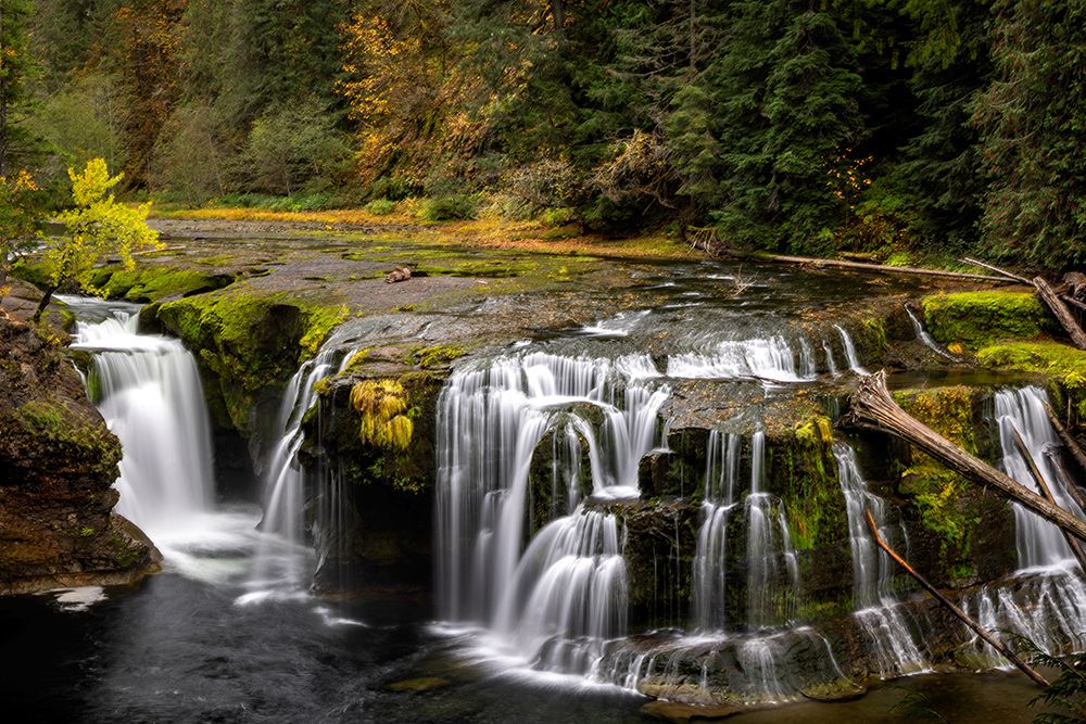 Lower Lewis River Falls in autumn in the Gifford Pinchot National Forest, Washington State, USA art print by Chuck Haney for $57.95 CAD