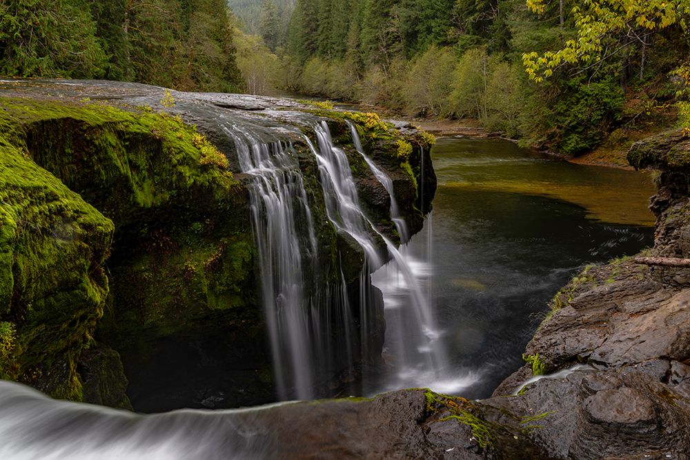 Lower Lewis River Falls in autumn in the Gifford Pinchot National Forest, Washington State, USA art print by Chuck Haney for $57.95 CAD