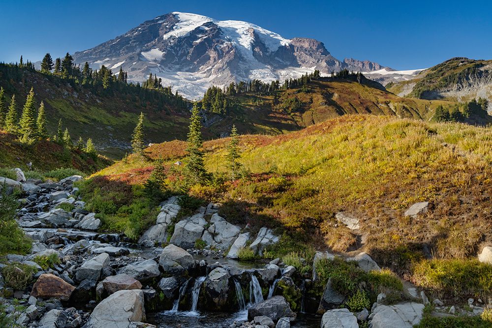 Myrtle Falls at Paradise Meadow in Mount Rainier National Park-Washington State-USA art print by Chuck Haney for $57.95 CAD