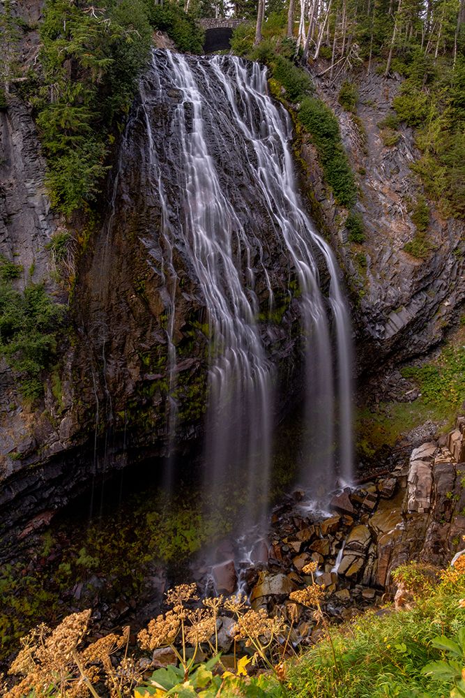 Narada Falls in Mount Rainier National Park-Washington State-USA art print by Chuck Haney for $57.95 CAD