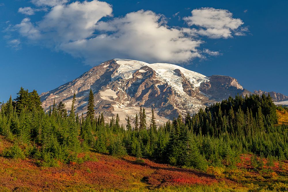 Autumn color at Paradise Meadows in Mount Rainier National Park-Washington State-USA art print by Chuck Haney for $57.95 CAD