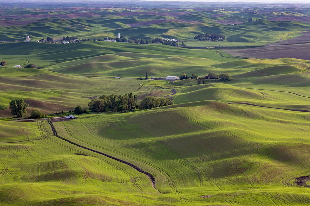 Small town of Steptoe from Steptoe Butte near Colfax-Washington State-USA art print by Chuck Haney for $57.95 CAD