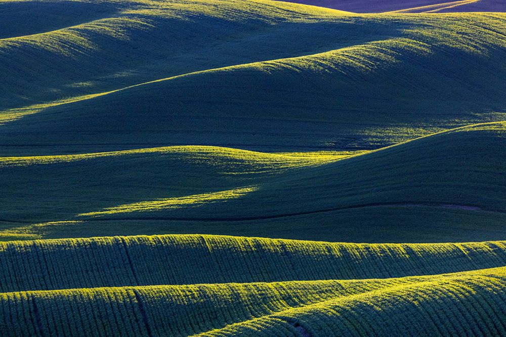 Rolling hills of wheat from Steptoe Butte near Colfax-Washington State-USA art print by Chuck Haney for $57.95 CAD