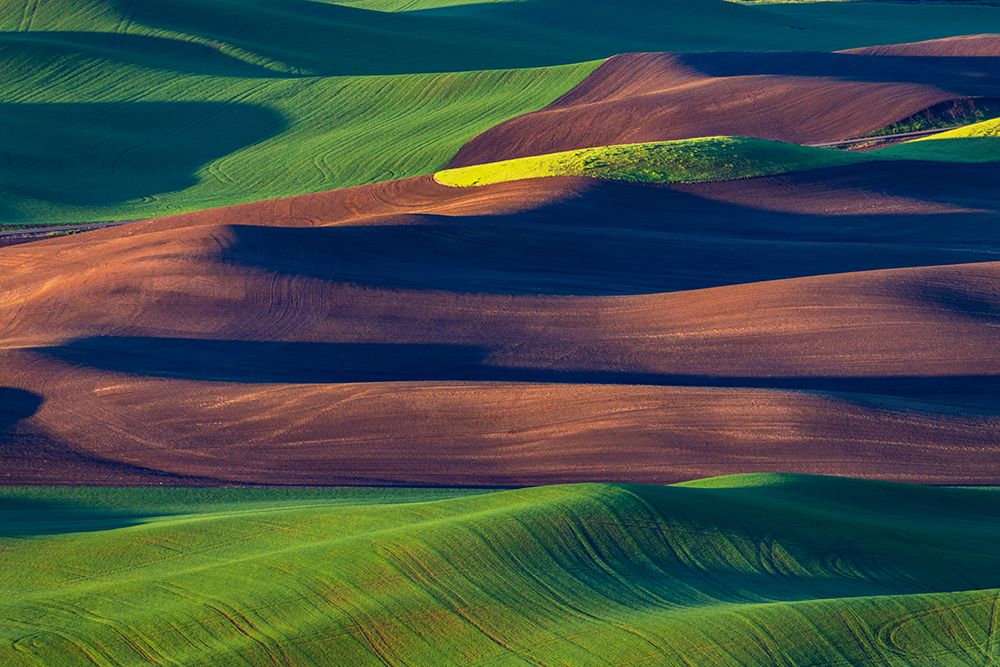 Rolling hills of wheat from Steptoe Butte near Colfax-Washington State-USA art print by Chuck Haney for $57.95 CAD