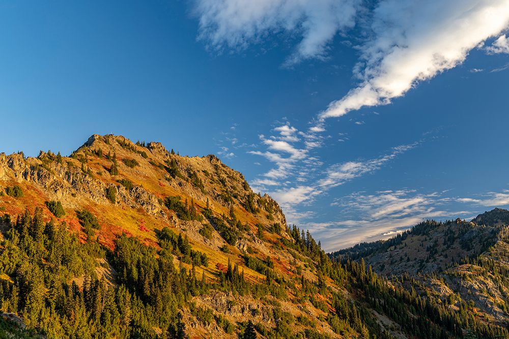 Autumn color on Yakima Peak in Mount Rainier National Park-Washington State-USA art print by Chuck Haney for $57.95 CAD