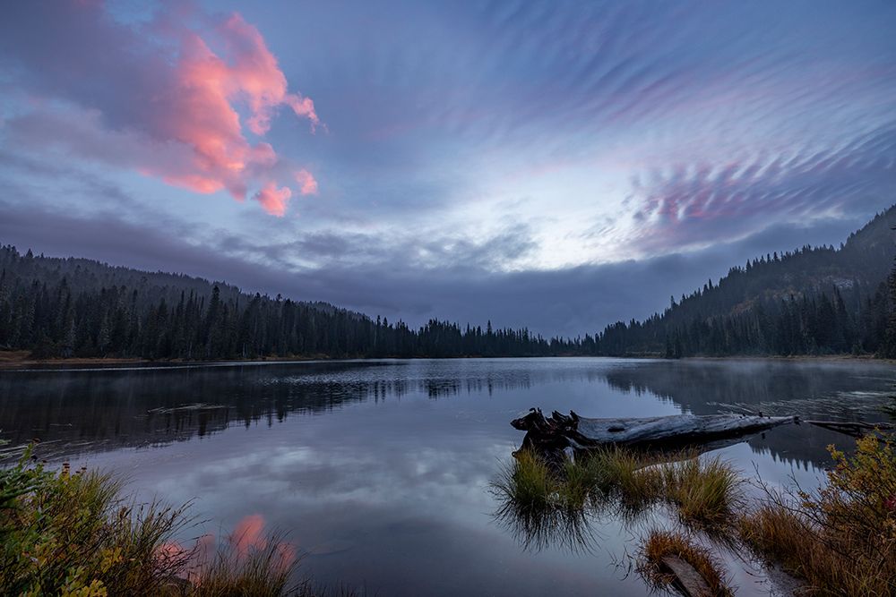 Reflection Lake at sunrise in Mount Rainier National Park, Washington State, USA art print by Chuck Haney for $57.95 CAD