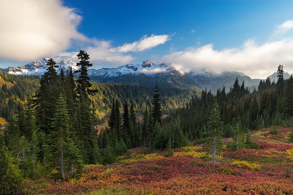 Autumn hues with the Tatoosh Range in Mount Rainier National Park, Washington State, USA art print by Chuck Haney for $57.95 CAD