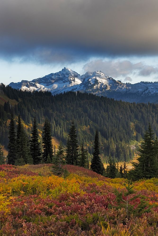 Autumn hues with the Tatoosh Range in Mount Rainier National Park, Washington State, USA art print by Chuck Haney for $57.95 CAD
