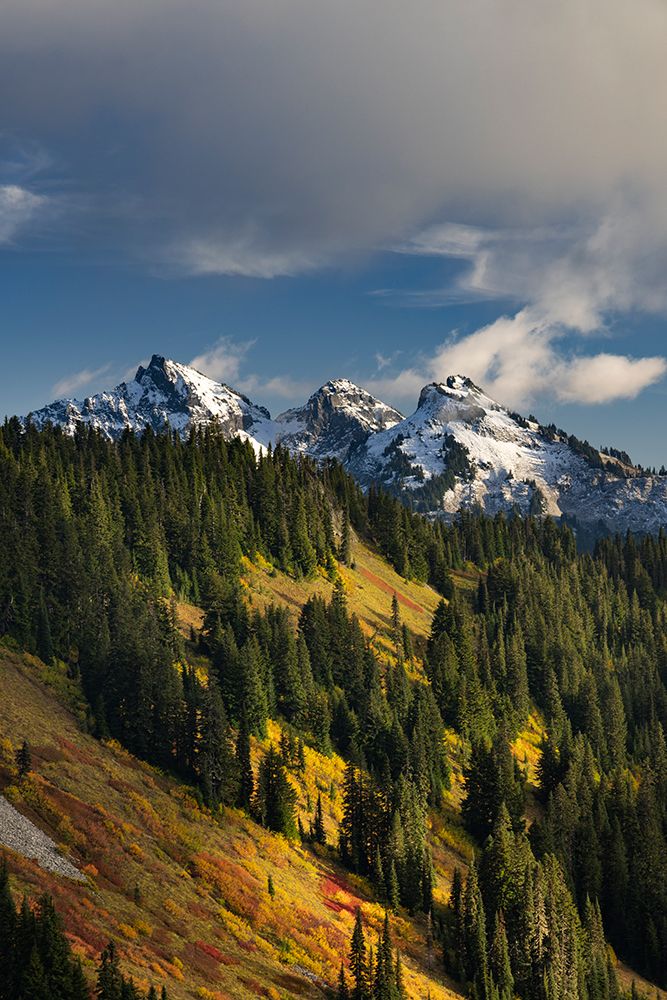 Autumn hues on Mazama Ridge and fresh snow on Tatoosh Range in Mount Rainier NP, Washington art print by Chuck Haney for $57.95 CAD