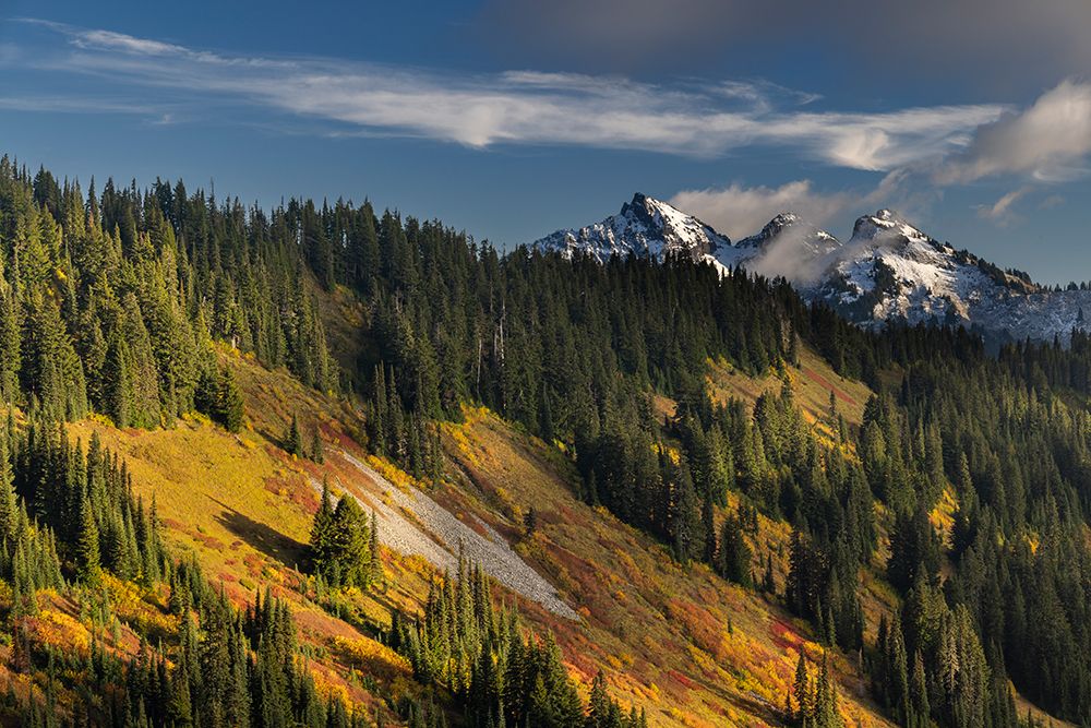 Autumn hues on Mazama Ridge and fresh snow on Tatoosh Range in Mount Rainier NP, Washington art print by Chuck Haney for $57.95 CAD