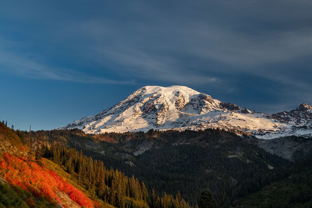 Autumn huckleberry bushes and Mount Rainier n Mount Rainier National Park, Washington State, USA art print by Chuck Haney for $57.95 CAD