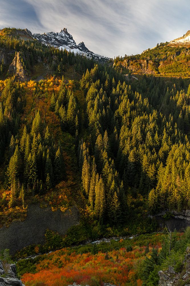 Autumn color along Stevens Creek in Mount Rainier National Park, Washington State, USA art print by Chuck Haney for $57.95 CAD