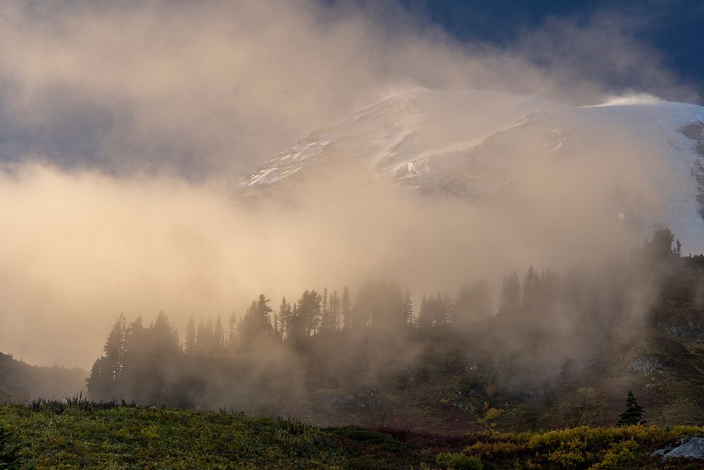 Fog Rolling in near sunset in Mount Rainier National Park, Washington State, USA art print by Chuck Haney for $57.95 CAD