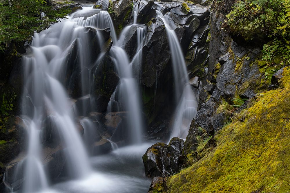 Paradise River in autumn in Mount Rainier National Park, Washington State, USA art print by Chuck Haney for $57.95 CAD