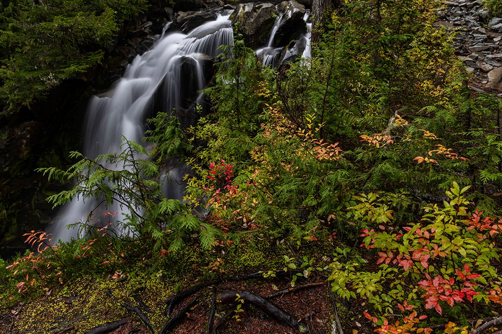 Paradise River in autumn in Mount Rainier National Park, Washington State, USA art print by Chuck Haney for $57.95 CAD