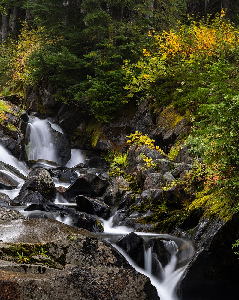 Paradise River in autumn in Mount Rainier National Park, Washington State, USA art print by Chuck Haney for $57.95 CAD