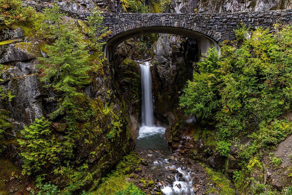 Christine Falls n Mount Rainier National Park, Washington State, USA art print by Chuck Haney for $57.95 CAD
