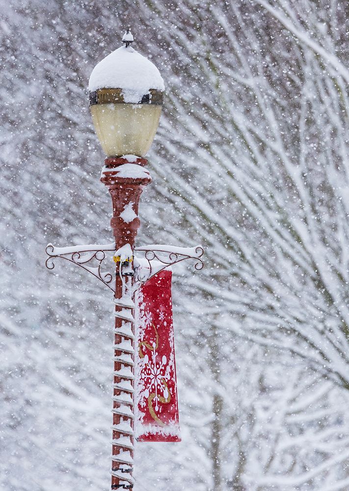 USA- Washington State- Issaquah with fresh fallen snow and red lamppost with Christmas decorations art print by Darrell Gulin for $57.95 CAD