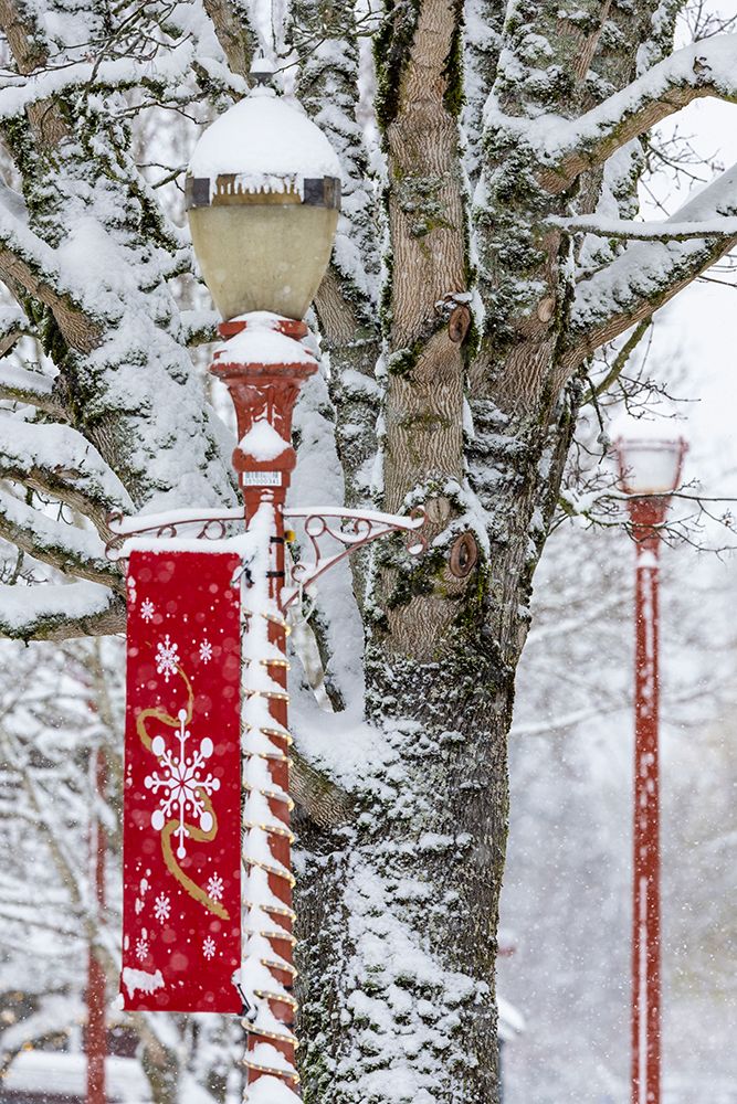 USA- Washington State- Issaquah with fresh fallen snow and red lamppost with Christmas decorations art print by Darrell Gulin for $57.95 CAD