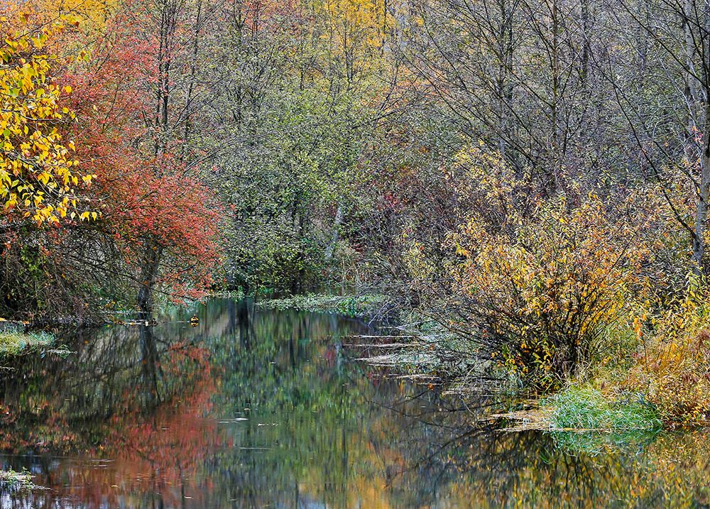 USA- Washington State- Easton and Washington Cascades water way off of Yakima River in Fall Color art print by Darrell Gulin for $57.95 CAD