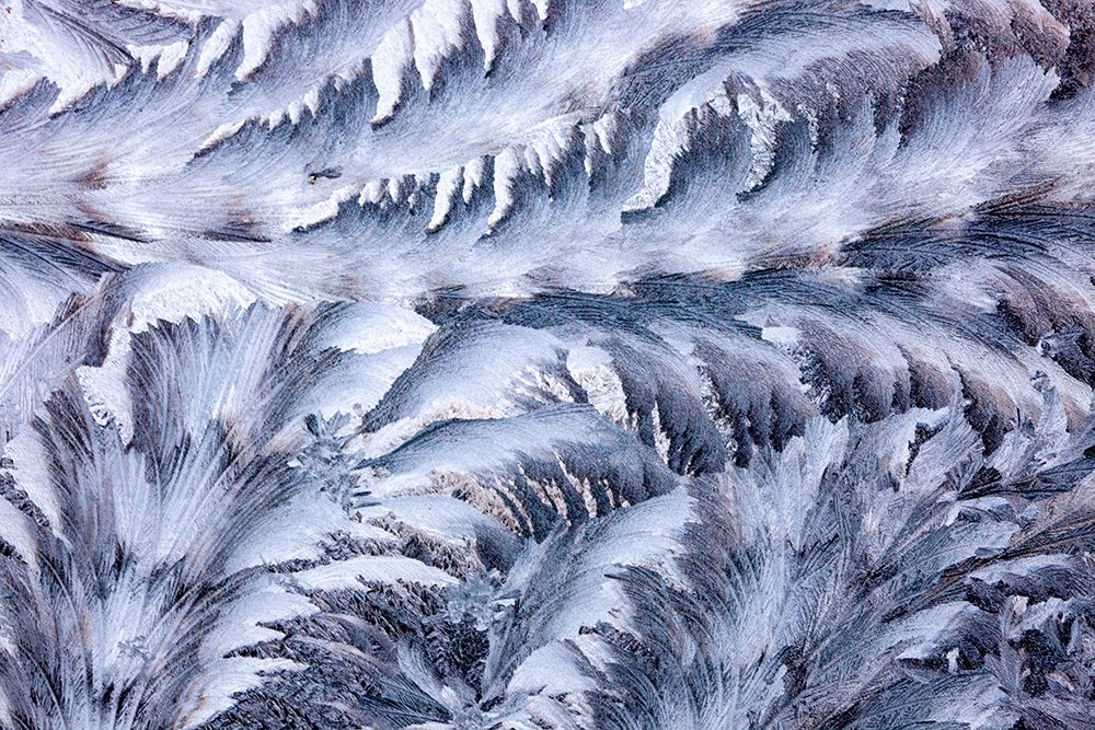 USA- Washington State- Sammamish. Frost on auto window art print by Darrell Gulin for $57.95 CAD