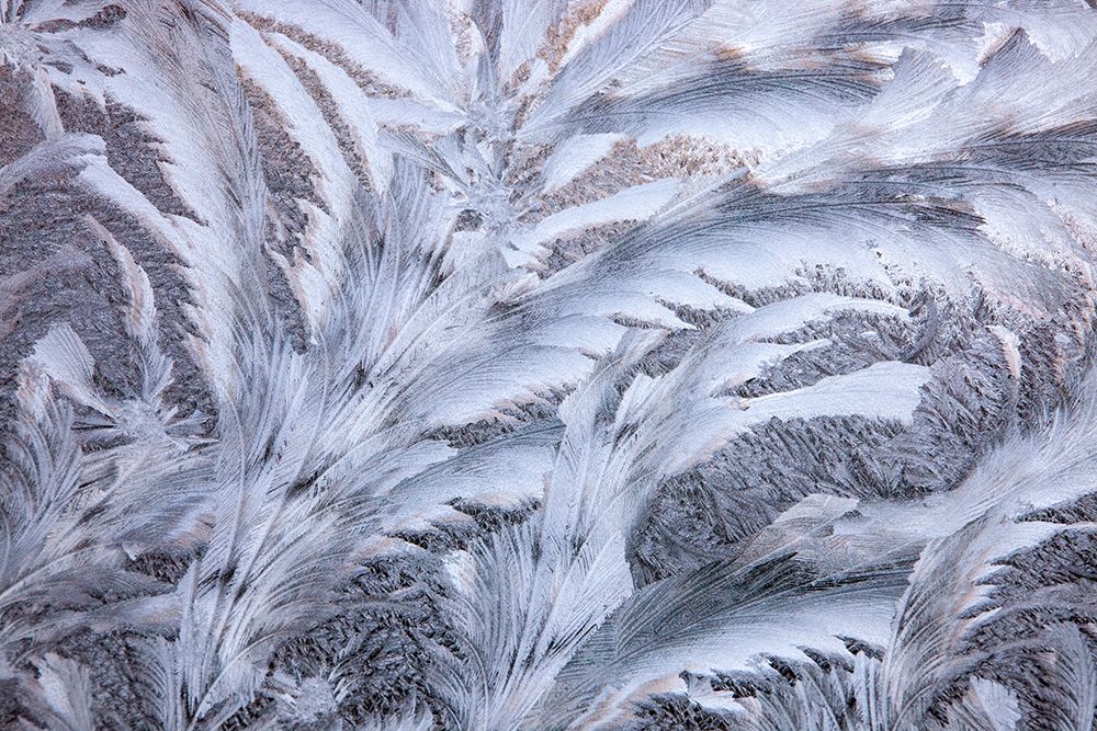 USA- Washington State- Sammamish. Frost on auto window art print by Darrell Gulin for $57.95 CAD