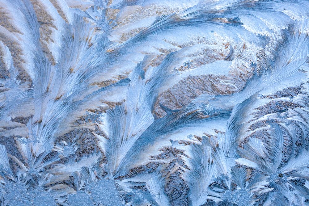 USA- Washington State- Sammamish. Frost on auto window art print by Darrell Gulin for $57.95 CAD