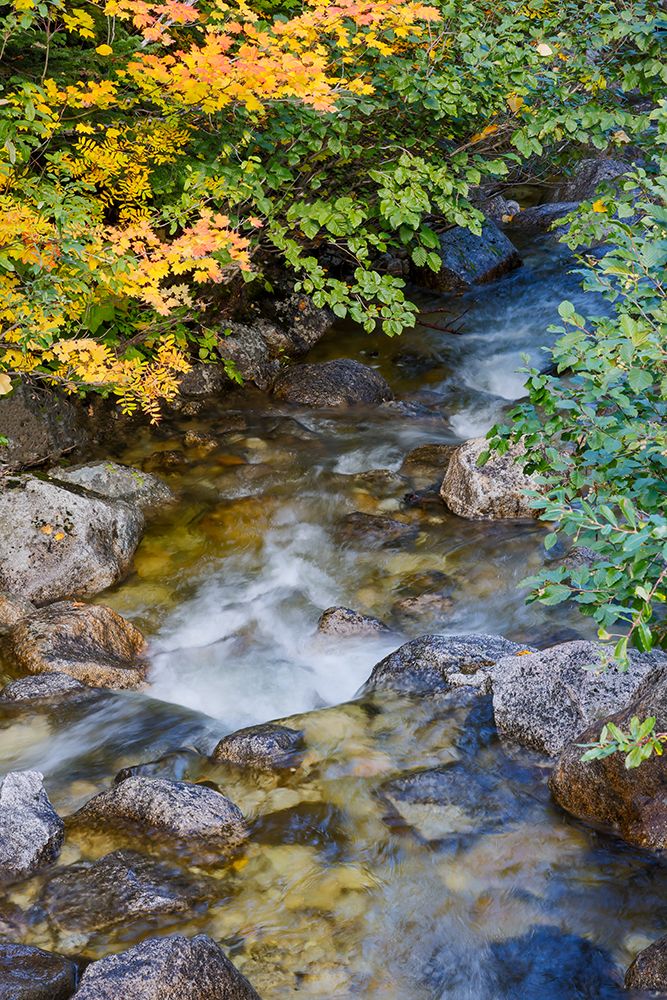 USA- Washington State. Cascade mountains near Stevens Pass art print by Darrell Gulin for $57.95 CAD