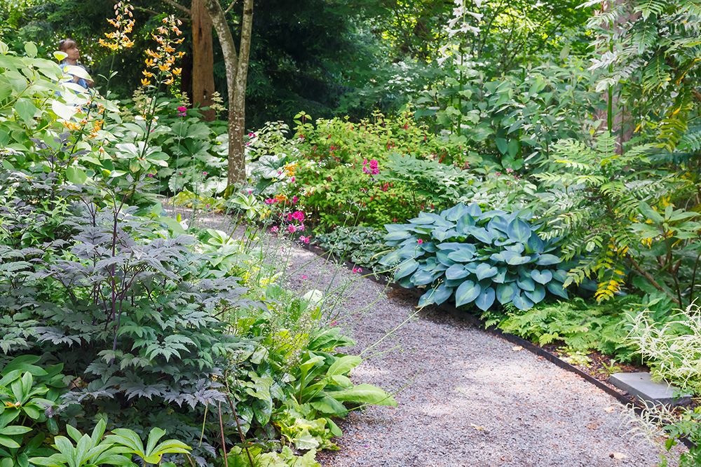 USA- Washington State. Bellevue Botanical garden and shade garden art print by Darrell Gulin for $57.95 CAD
