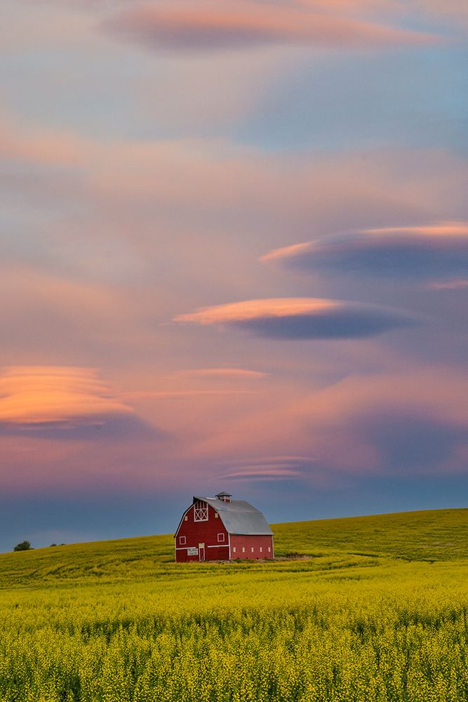 USA- Washington State- Palouse. Springtime with Red Barn art print by Darrell Gulin for $57.95 CAD