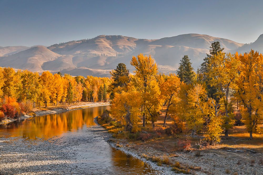 USA- Washington State- Methow Valley and river edged in Fall colored trees. art print by Darrell Gulin for $57.95 CAD